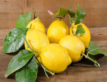 Wonder of lemon and it's health benifit