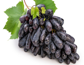 Juicy Secrets and Health Benefits of Grapes from the Best Wholesale Shop in Dubai