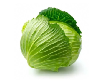 Cabbage Chronicles: Unveiling the Remarkable Health Benefits of this Leafy Wonder