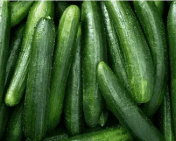 Step into the refreshing world of cucumbers